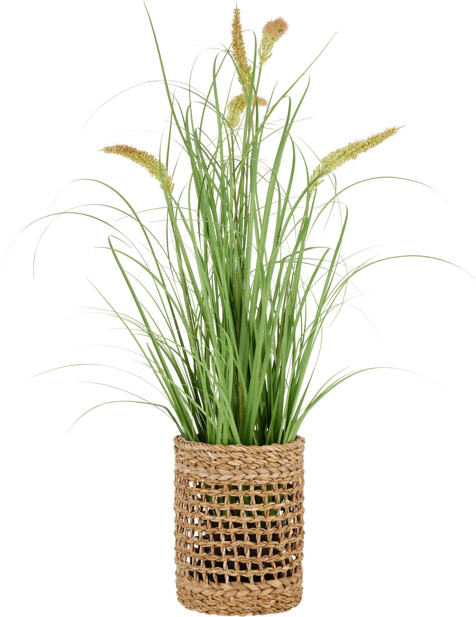 Umelá rastlina Penisetum, V: ca. 97cm - čierna/zelená, Basics, textil/plast (97cm) - Modern Living