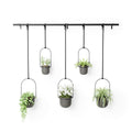 SADA NÁSTENNÝCH KVETINÁČOV TRIFLORA - čierna, Basics, kov/plast (18/94/137cm) - Umbra